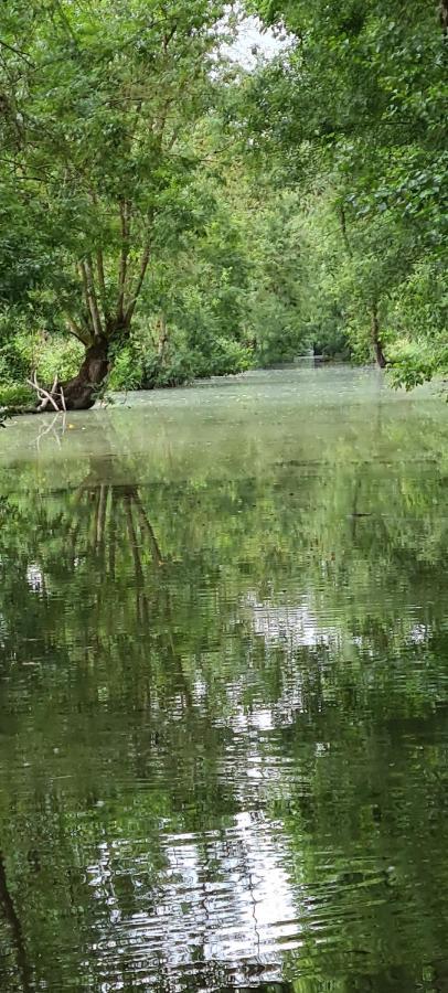 L'Enclos Bleu, Gite - Marais Poitevin Avec Piscine Chauffee Chaille-Les-Marais Exterior foto